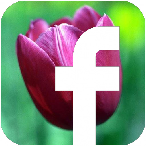 logo_facebook